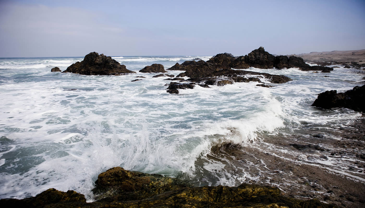 Moquegua: Playas y naturaleza en un solo lugar