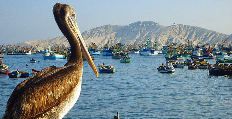 De paseo por Chimbote
