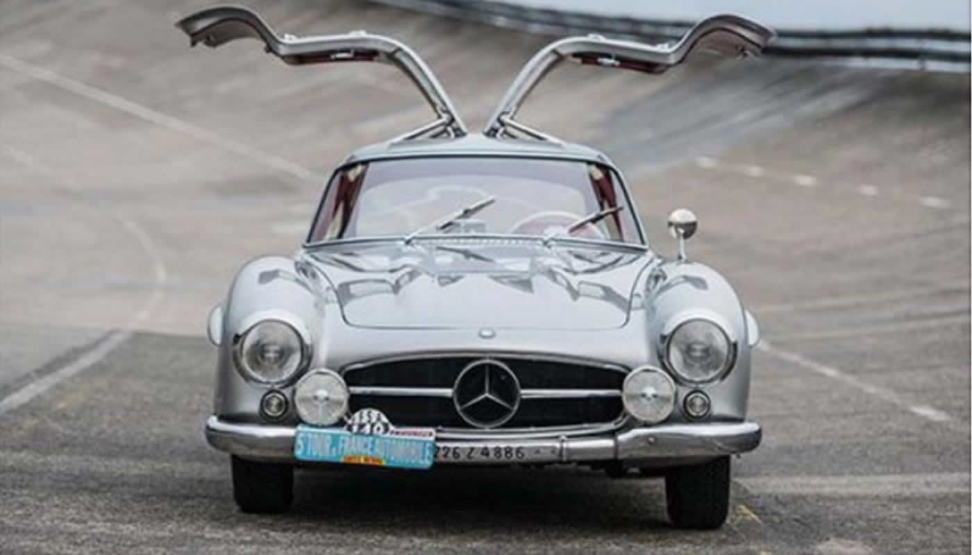 Una Gaviota muy costosa