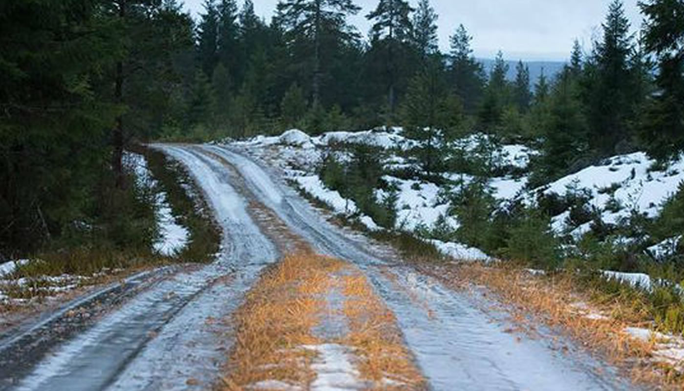 Rally Suecia arranca de todas formas
