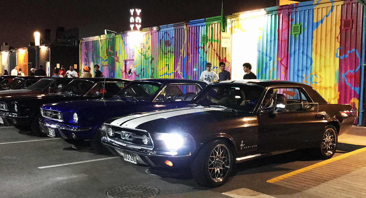 Mustang Night