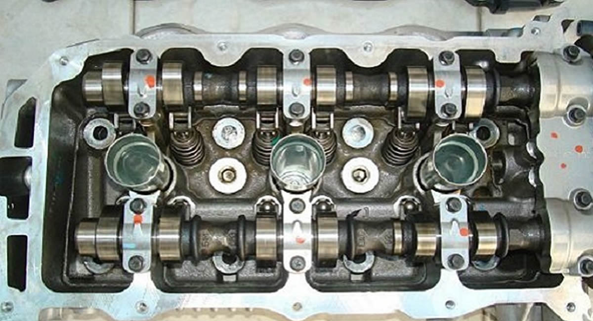 Todo sobre este fascinante mundo