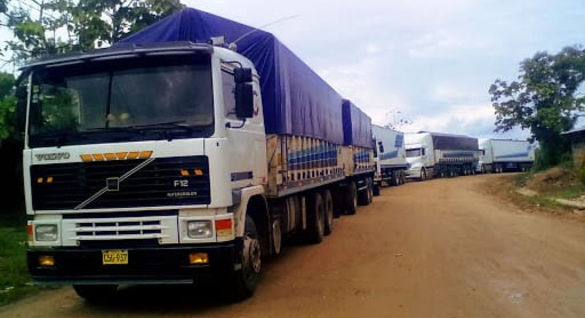 Nuevos protocolos de transporte de pasajeros, carga y mercancías garantizan la continuidad de los servicios